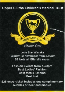 Ticket showing details of the Trust's 2011 Melbourne Cup Fundraiser